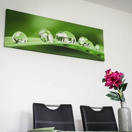 Apartament Miraka Lipno nad Vltavou Zewnętrze zdjęcie