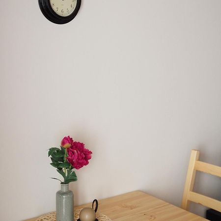 Apartament Miraka Lipno nad Vltavou Zewnętrze zdjęcie