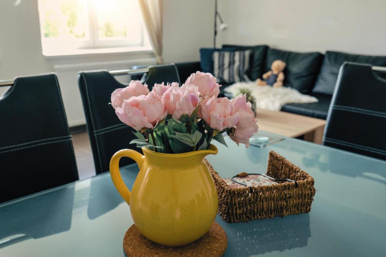 Apartament Miraka Lipno nad Vltavou Zewnętrze zdjęcie